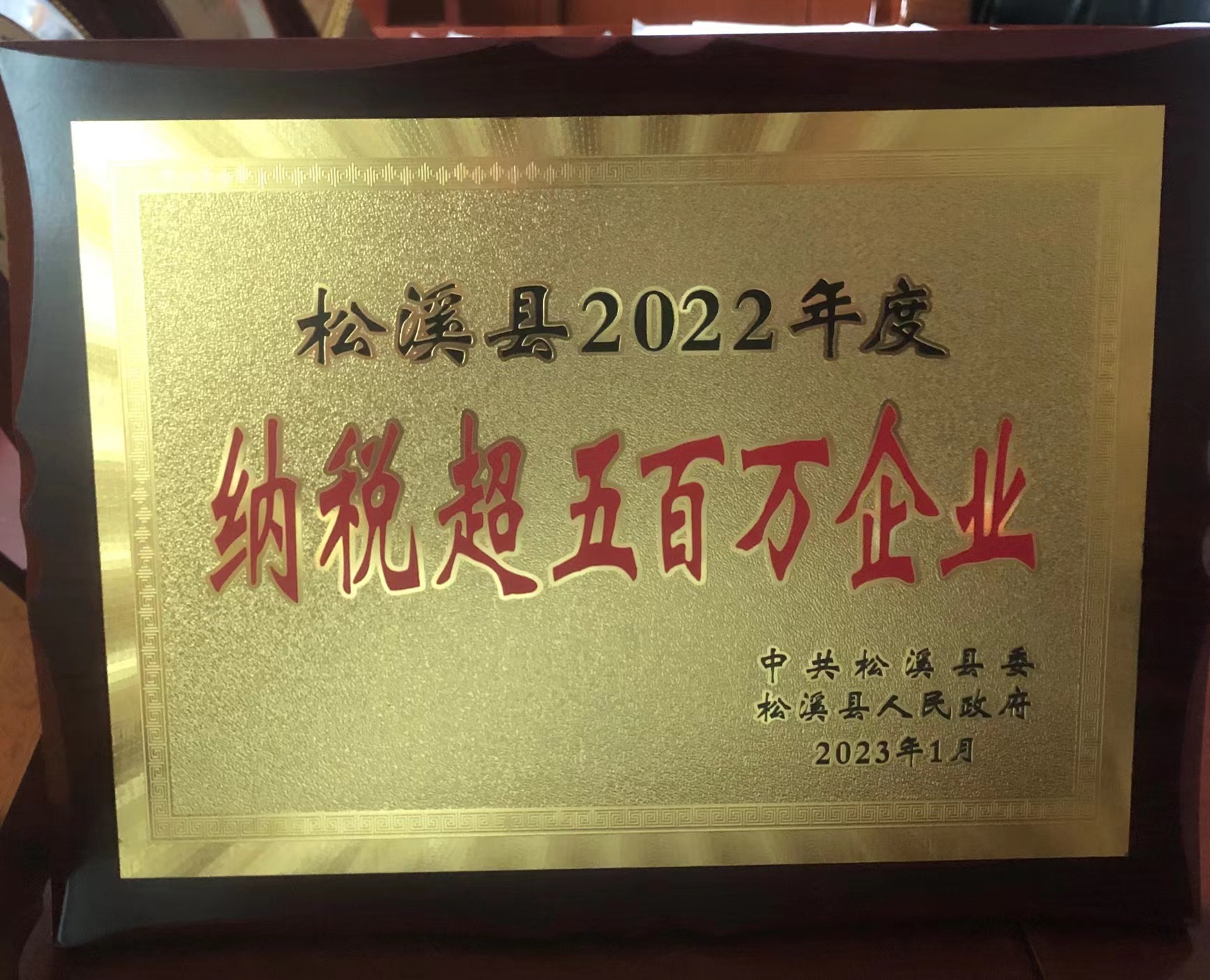 喜報(bào)！易順建工集團(tuán)喜獲“松溪縣2022年度納稅超五百萬企業(yè)”榮譽(yù)